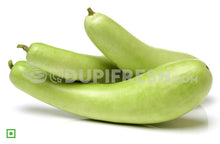 Load image into Gallery viewer, Bottle Gourd/ಸೋರೆಕಾಯಿ- Organically Grown, 1 pc, 800 g- 1 Kg (5560385044644)