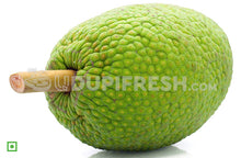Load image into Gallery viewer, Breadfruit / Deegujje /ಜಿಗುಜ್ಜೆ, 800 g to 1  kg