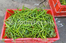 Load image into Gallery viewer, Chilli - Green Long, Medium/ಮೆಣಸಿನಕಾಯಿ - ಹಸಿರು ,  100 g (5560289656996)