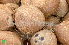 Load image into Gallery viewer, Coconut - Medium, 1 pc (5556046168228)