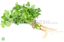 Load image into Gallery viewer, Coriander Leaves/ಕೊತ್ತಂಬರಿ ಎಲೆಗಳು, 100 g (5560270192804)