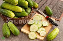 Load image into Gallery viewer, Cucumber/ಸೌತೆಕಾಯಿ, 1 Kg (5560261935268)