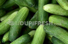 Load image into Gallery viewer, Cucumber/ಸೌತೆಕಾಯಿ, 1 Kg (5560261935268)