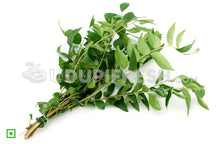 Load image into Gallery viewer, Curry Leaves/ಕರಿಬೇವು, 100 g (5560257282212)