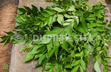 Load image into Gallery viewer, Curry Leaves/ಕರಿಬೇವು, 100 g (5560257282212)