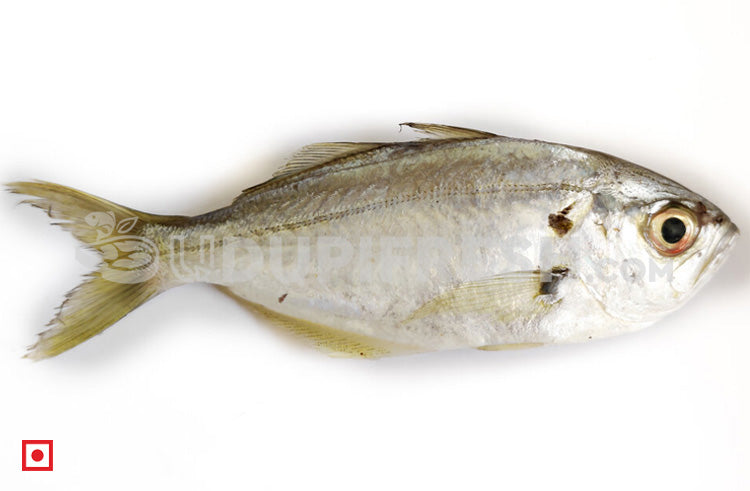 False Trevally / Ademeenu, 1 Kg UDUPI FRESH