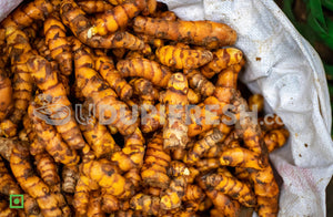 Fresh Turmeric/ತಾಜಾ ಅರಿಶಿನ - Organically Grown, 250 g (5560235393188)
