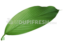 Load image into Gallery viewer, Turmeric Leaves 10 no's