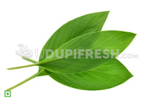 Load image into Gallery viewer, Turmeric Leaves 10 no's