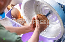 Load image into Gallery viewer, Freshly Grated Coconut - 3 Medium Coconut (5561194283172)