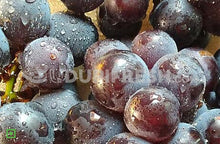 Load image into Gallery viewer, Grapes - Bangalore Blue with Seed, 500 g (5556002390180)