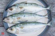 Load image into Gallery viewer, Indian Mackerel Bangda Fish Big (4 Count) (5551691956388)