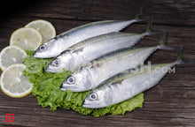 Load image into Gallery viewer, Indian Mackerel Bangda Fish Big (4 Count) (5551691956388)