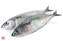 Load image into Gallery viewer, Indian Mackerel Bangda Fish Big (4 Count) (5551691956388)