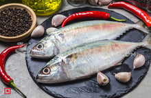 Load image into Gallery viewer, Indian Mackerel Bangda Fish Big (4 Count) (5551691956388)