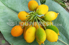 Load image into Gallery viewer, Local Spine Gourd, 500 g