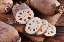 Load image into Gallery viewer, Fresh Lotus Roots, 500 g