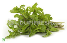 Load image into Gallery viewer, Mint Leaves/ಪುದೀನ ಎಲೆಗಳು, 100 g (5560146165924)
