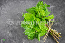 Load image into Gallery viewer, Mint Leaves/ಪುದೀನ ಎಲೆಗಳು, 100 g (5560146165924)