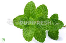 Load image into Gallery viewer, Mint Leaves/ಪುದೀನ ಎಲೆಗಳು, 100 g (5560146165924)