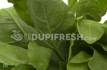 Load image into Gallery viewer, Palak/ಪಾಲಾಕ್, 100 g (5560126341284)