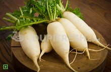 Load image into Gallery viewer, Radish - White/ಮೂಲಂಗಿ, 500 g (5560089149604)