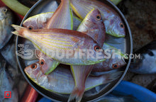 Load image into Gallery viewer, Rani, Pink Perch Fish ,1 Kg