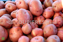 Load image into Gallery viewer, Red Potato, 1 Kg