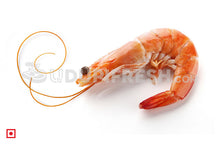Load image into Gallery viewer, Red Prawns - Small, 1Kg (5551728230564)