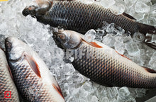 Load image into Gallery viewer, Freshwater Fresh Rohu / Rui, 1 Kg