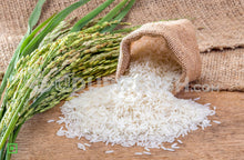 Load image into Gallery viewer, Sona Masoori Raw Rice , 1 kg