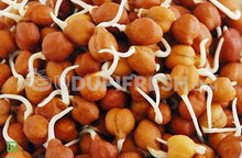 Load image into Gallery viewer, Sprouts - Channa Brown, 200 g (5561208504484)