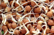 Load image into Gallery viewer, Sprouts - Channa Brown, 200 g (5561208504484)