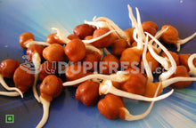 Load image into Gallery viewer, Sprouts - Channa Brown, 200 g (5561208504484)