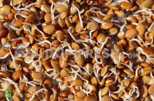 Load image into Gallery viewer, Sprouts - Horse Gram, 200 g (5561201623204)