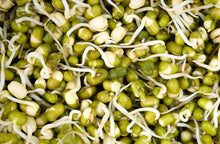 Load image into Gallery viewer, Sprouts-Moong Green, 200 g (5561204539556)