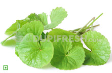 Load image into Gallery viewer, Organic Fresh Thimare Leaves , 100 g