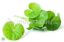 Load image into Gallery viewer, Organic Fresh Thimare Leaves , 100 g