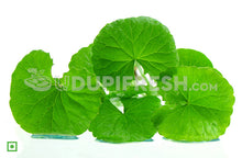 Load image into Gallery viewer, Organic Fresh Thimare Leaves , 100 g
