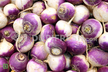 Load image into Gallery viewer, Turnip
