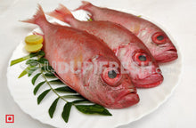 Load image into Gallery viewer, Disco , Big – Finned Bulleye, 1 Kg