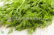 Load image into Gallery viewer, Dill Leaves /  ಸಬ್ಬಸಿಗೆ ಎಲೆಗಳು, 100 g