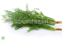 Load image into Gallery viewer, Dill Leaves /  ಸಬ್ಬಸಿಗೆ ಎಲೆಗಳು, 100 g