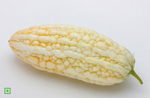 Load image into Gallery viewer, White Bitter Melon, 500 g