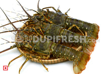 Load image into Gallery viewer, Lobster, 1 Kg