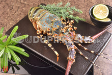 Load image into Gallery viewer, Lobster, 1 Kg