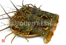 Load image into Gallery viewer, Lobster, 1 Kg