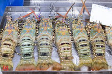Load image into Gallery viewer, Lobster, 1 Kg