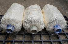 Load image into Gallery viewer, Hydroponic Organic Mushroom Home Farming Kit