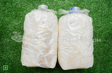 Load image into Gallery viewer, Hydroponic Organic Mushroom Home Farming Kit